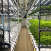 Contenedor de envío de vegetales hidropónicos, sistema de cultivo interior Vertical para granja, invernadero de contenedores