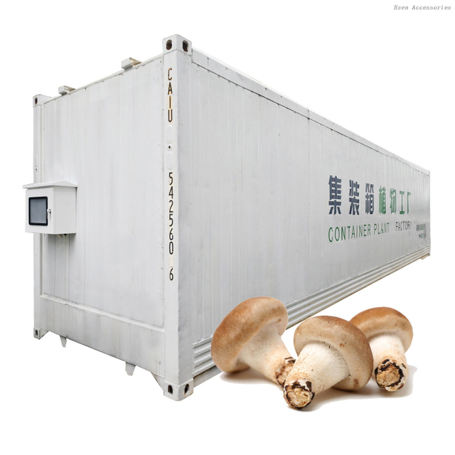 Contenedor de envío de 40 pies, invernadero de setas, granja de contenedores de cultivo de setas verticales inteligentes 